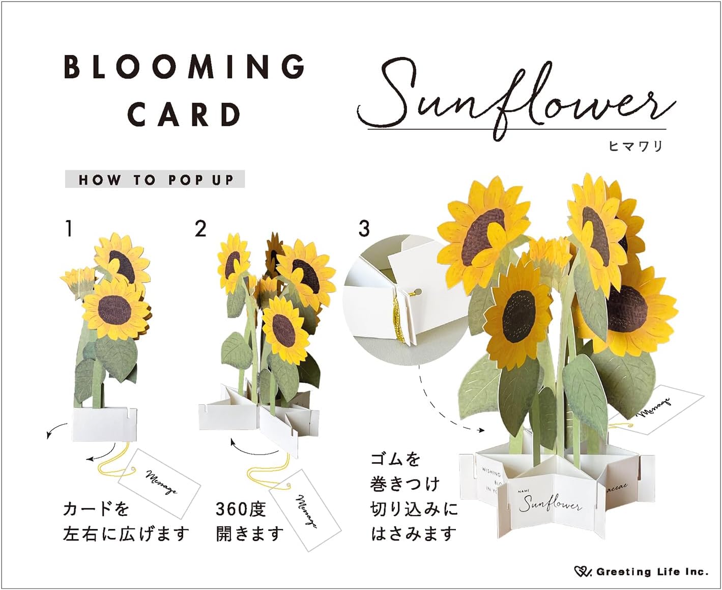 Greeting Life Birthday Blooming Card Sunflower KE-50