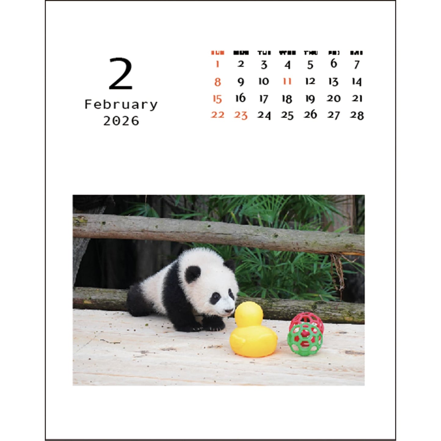 2026 Desktop Calendar, Panda Kindergarten