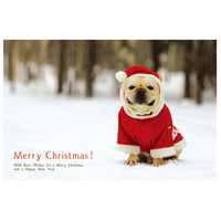 Greeting Life Natsuhiko Christmas Post Card NA-22