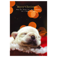 Greeting Life Natsuhiko Christmas Post Card NA-35