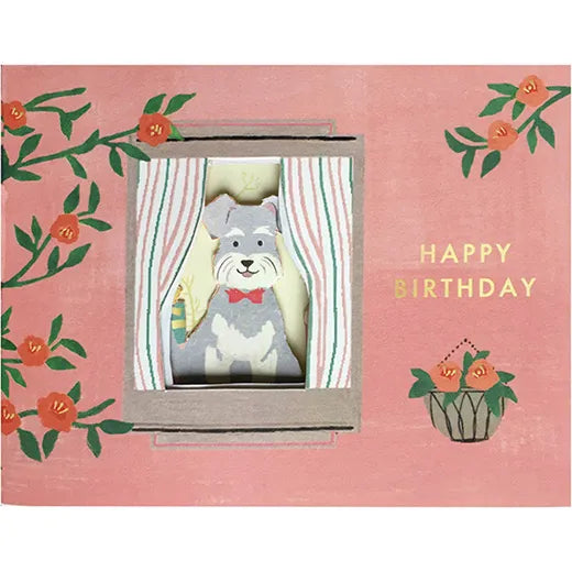 Birthday window party card