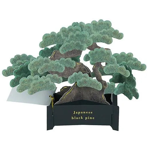 BONSAI Pop-up Card