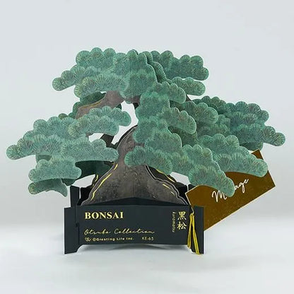 BONSAI Pop-up Card