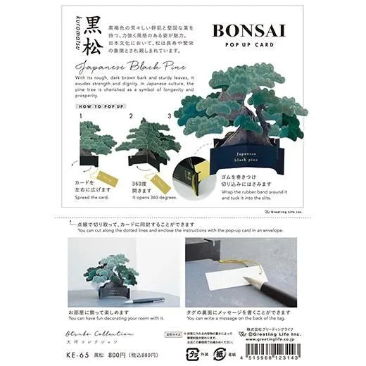 BONSAI Pop-up Card