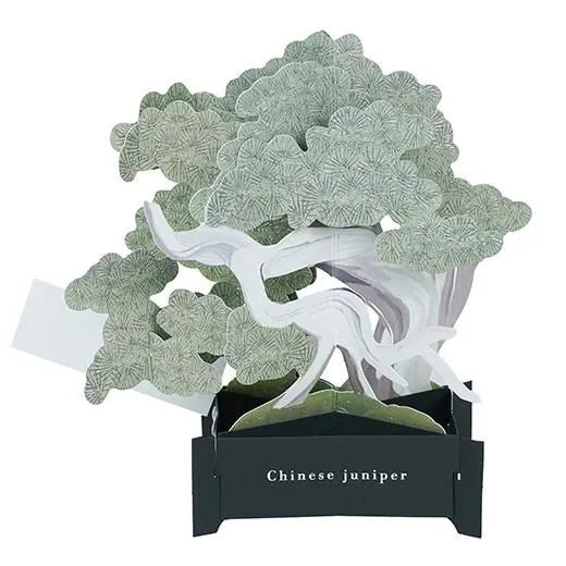 BONSAI Pop-up Card