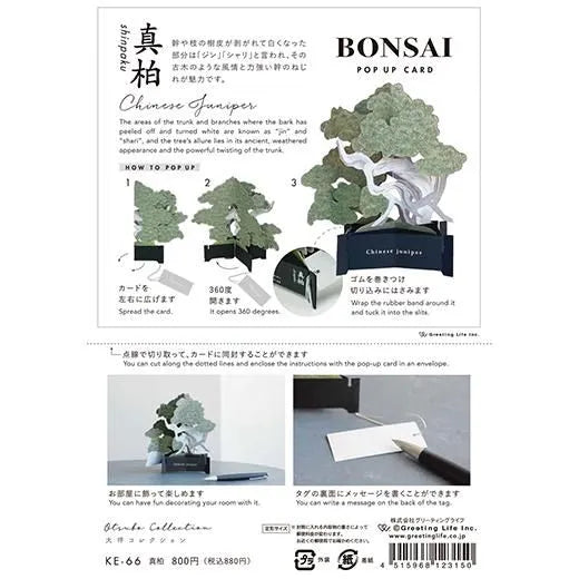 BONSAI Pop-up Card