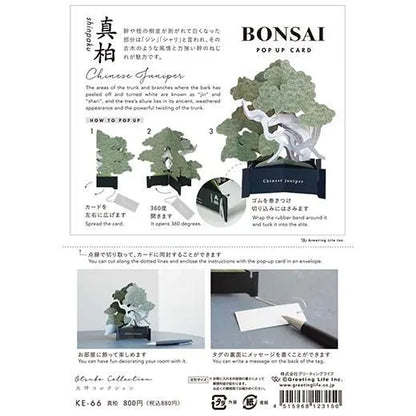 BONSAI Pop-up Card