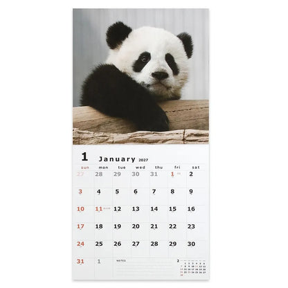 2027 Wall Calendar - Panda