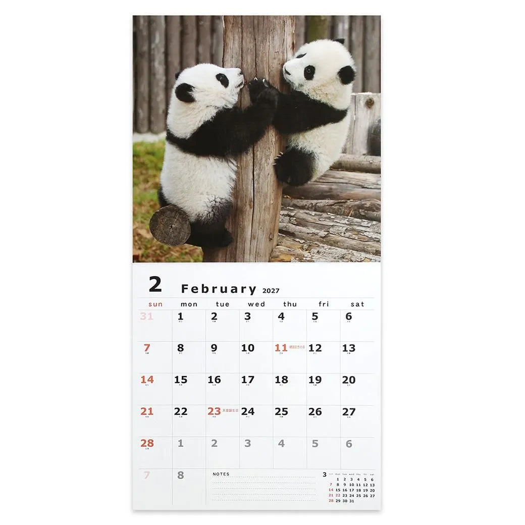 2027 Wall Calendar - Panda
