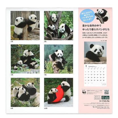 2027 Wall Calendar - Panda