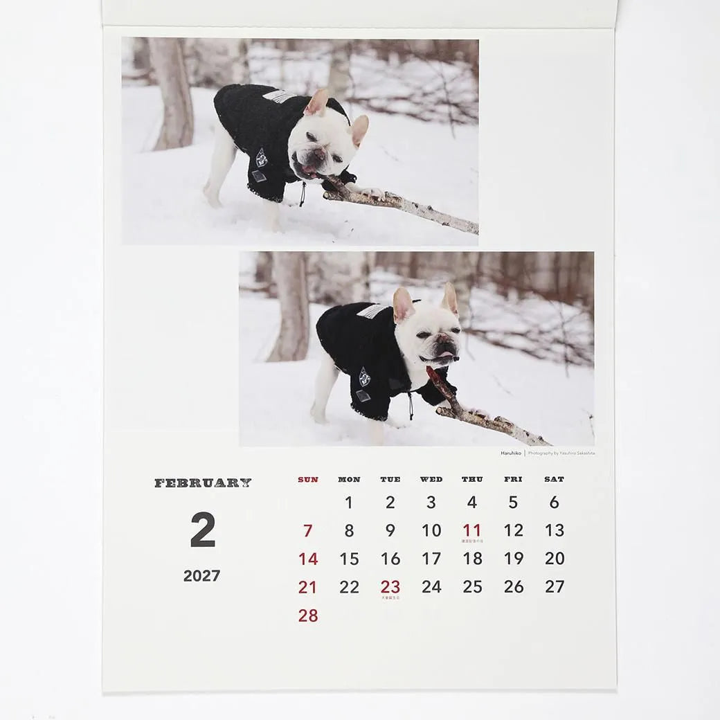 2027 Wall Calendar - Natsuhiko Family / Yasuhiro Sakashita