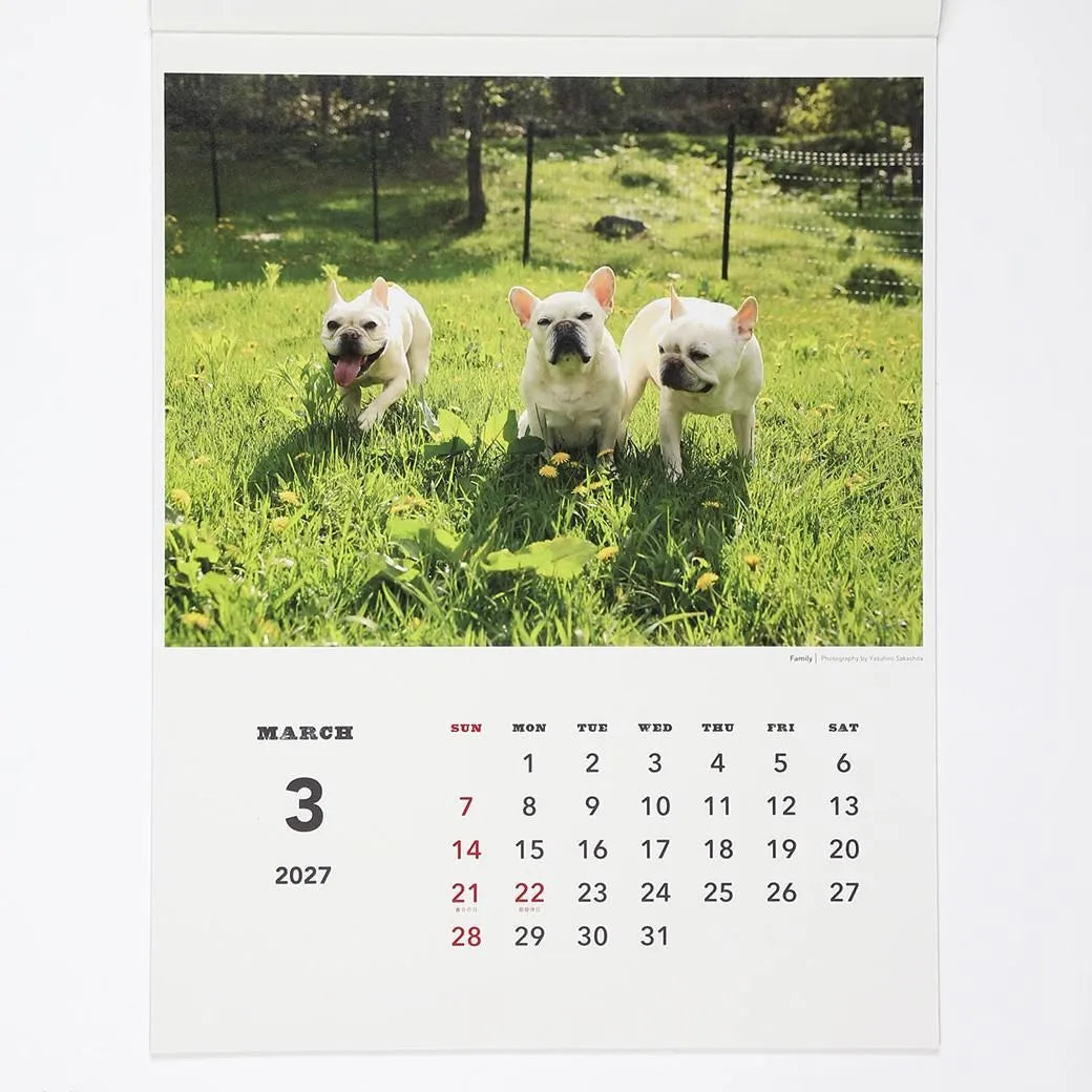 2027 Wall Calendar - Natsuhiko Family / Yasuhiro Sakashita
