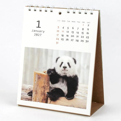 2027 Desk Calendar - Panda Kindergarten