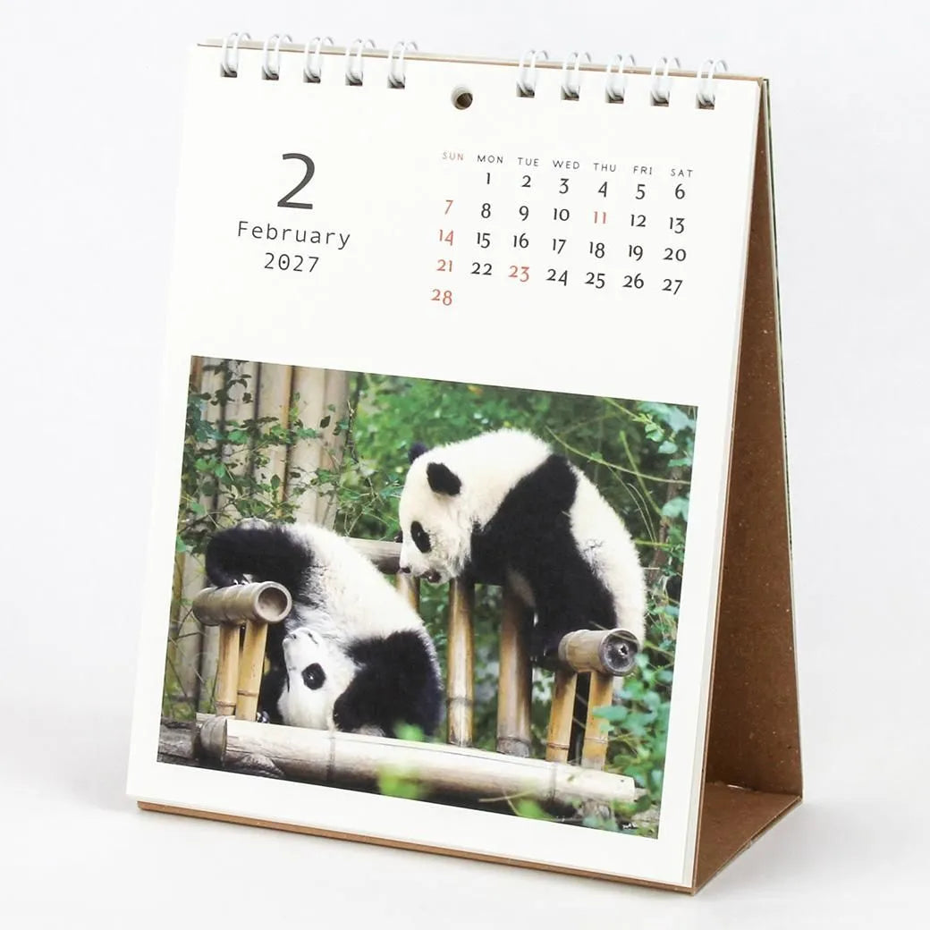 2027 Desk Calendar - Panda Kindergarten