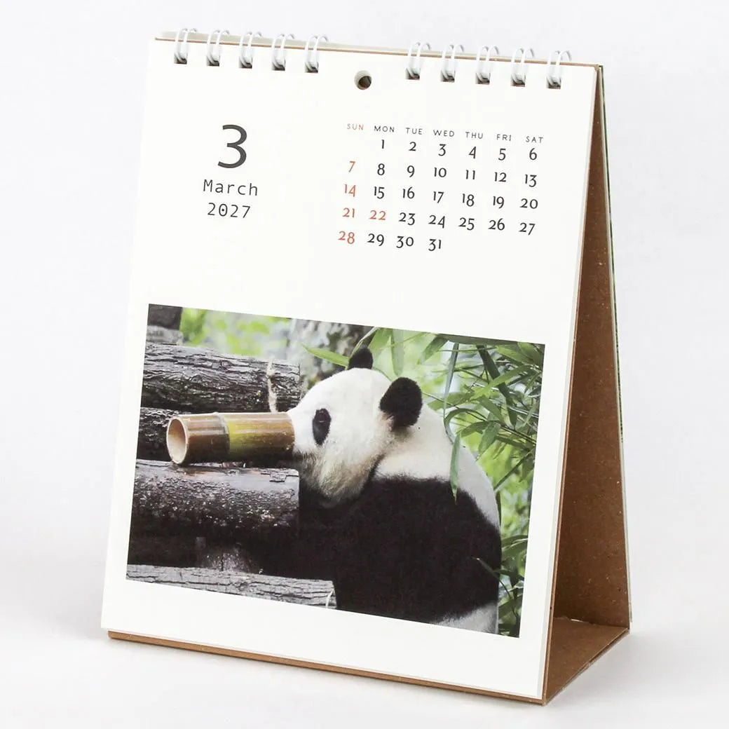 2027 Desk Calendar - Panda Kindergarten