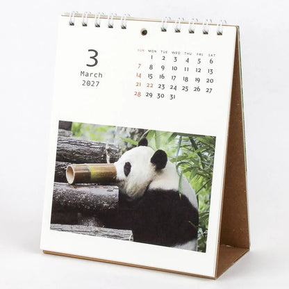 2027 Desk Calendar - Panda Kindergarten