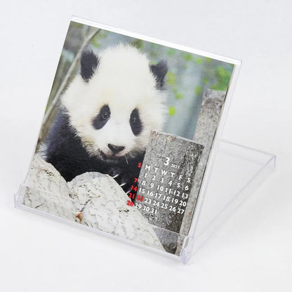 2027 FD Calendar - Panda