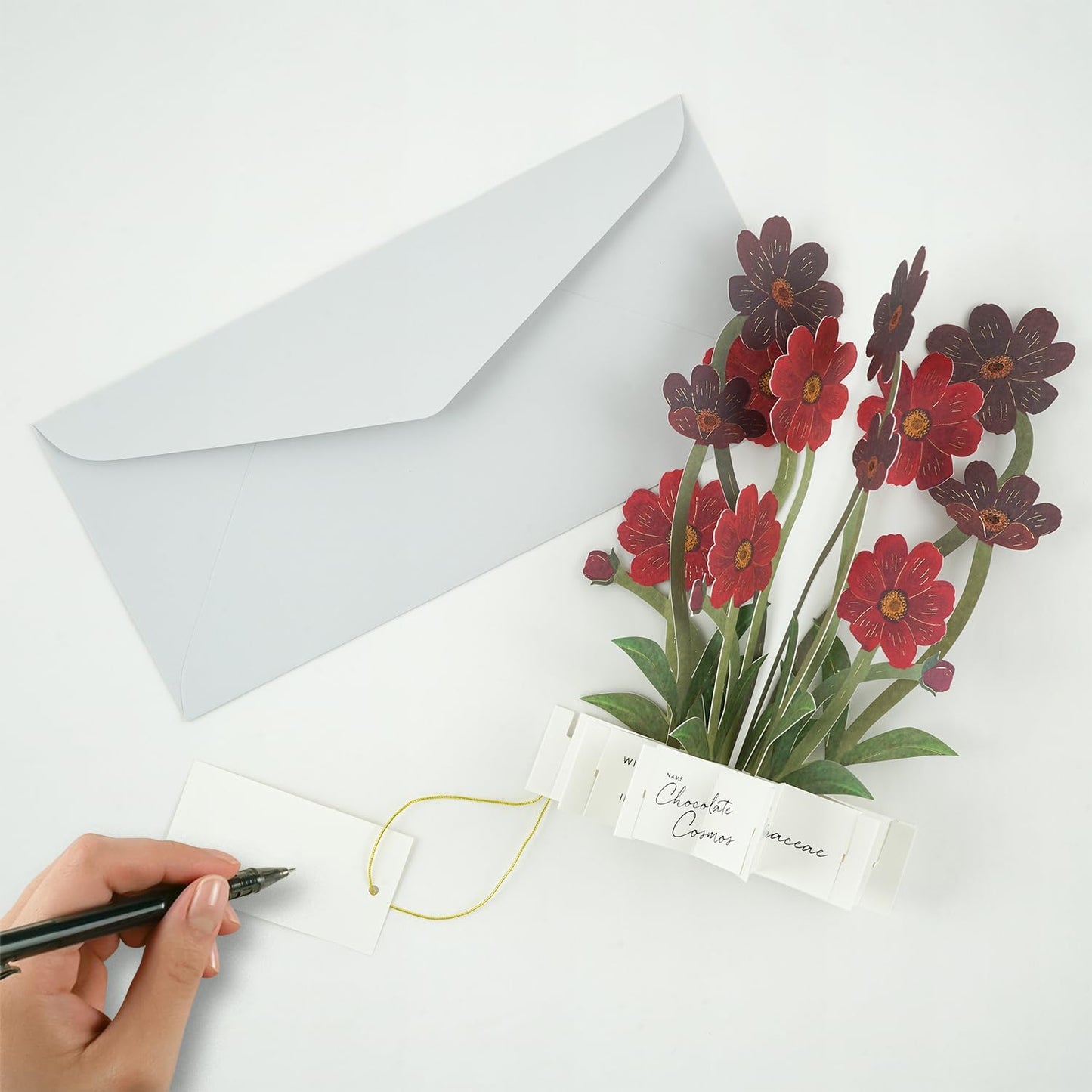 Greeting Life Birthday Card Flower Pot Mix TK-19