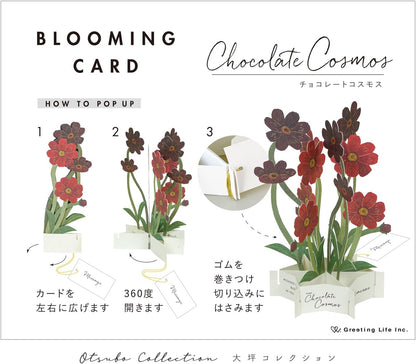 Greeting Life Birthday Card Flower Pot Mix TK-19