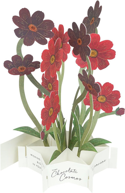 Greeting Life Birthday Card Flower Pot Mix TK-19