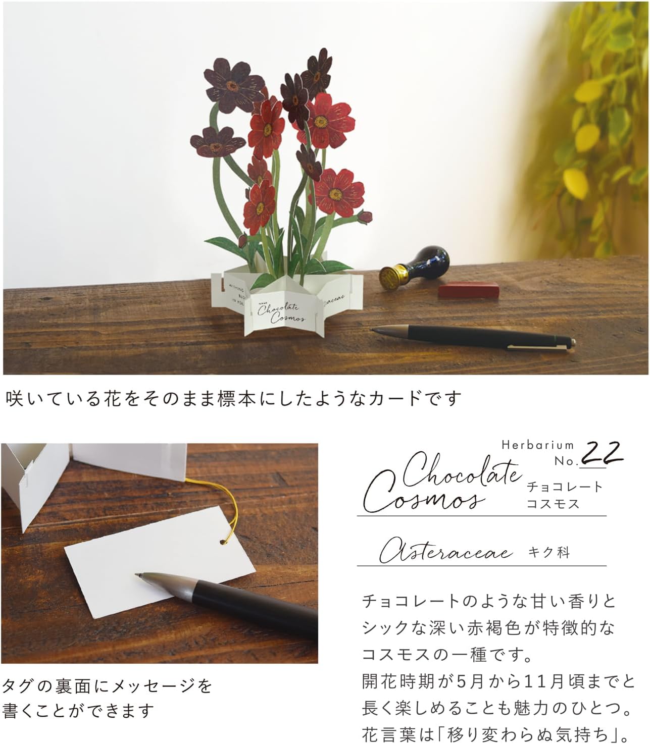 Greeting Life Birthday Card Flower Pot Mix TK-19