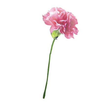 Greeting Life Message Gift Bouquet BS-25