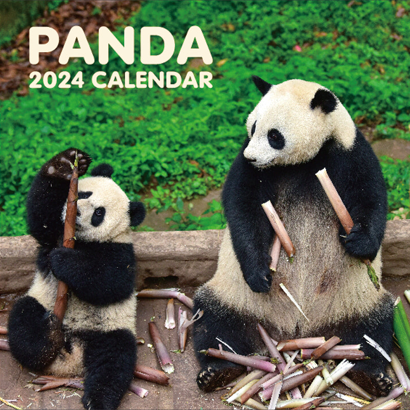Panda Calendar 2024