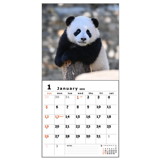 Greeting Life Wall Calendar 2025 C-1580-PA