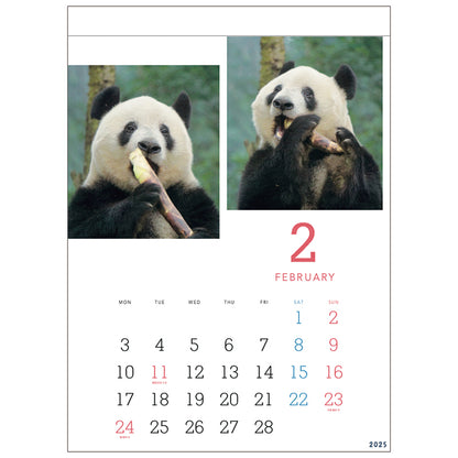 Greeting Life Wall Calendar 2025 C-1590-PA