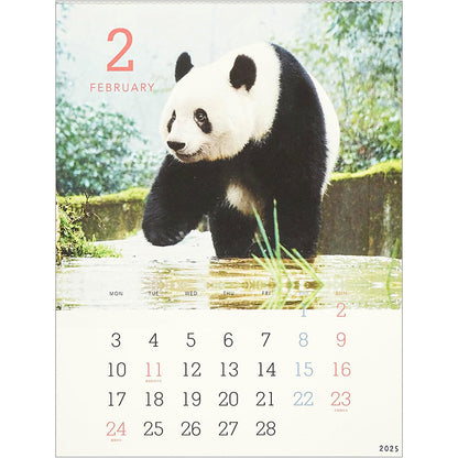 Greeting Life Wall Calendar 2025 C-1590-PA