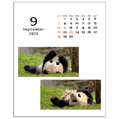 Greeting Life Desktop Calendar 2025 C-1605-PA