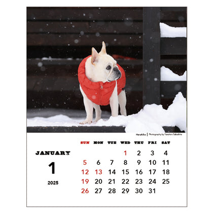 Greeting Life Desktop Calendar 2025 C-1606-NA