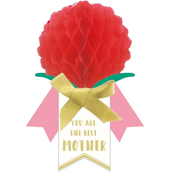 Greeting Life Mother's Day Card EC-7