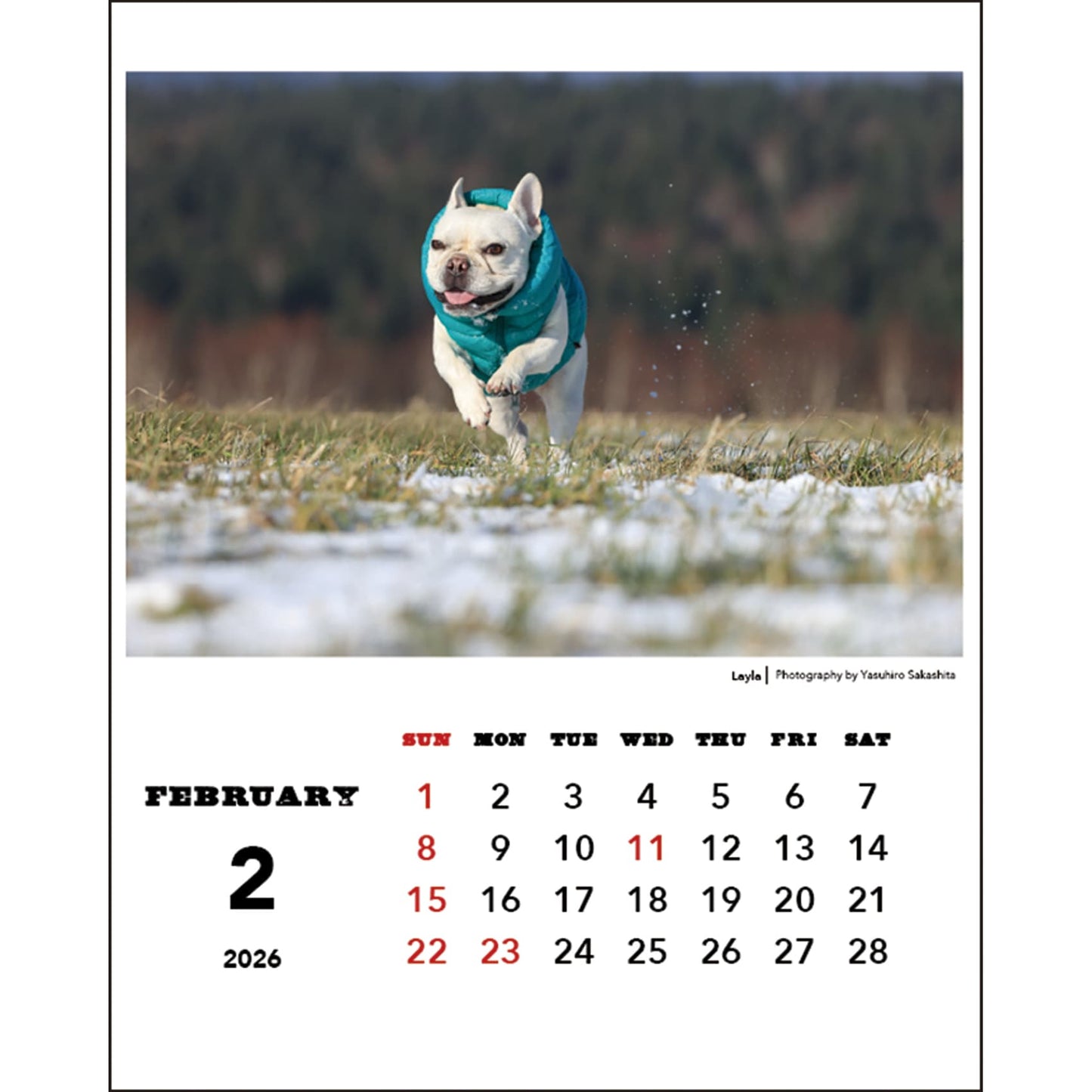 2026 Desk Calendar by Natsuhiko Family/Yasuhiro Sakashita