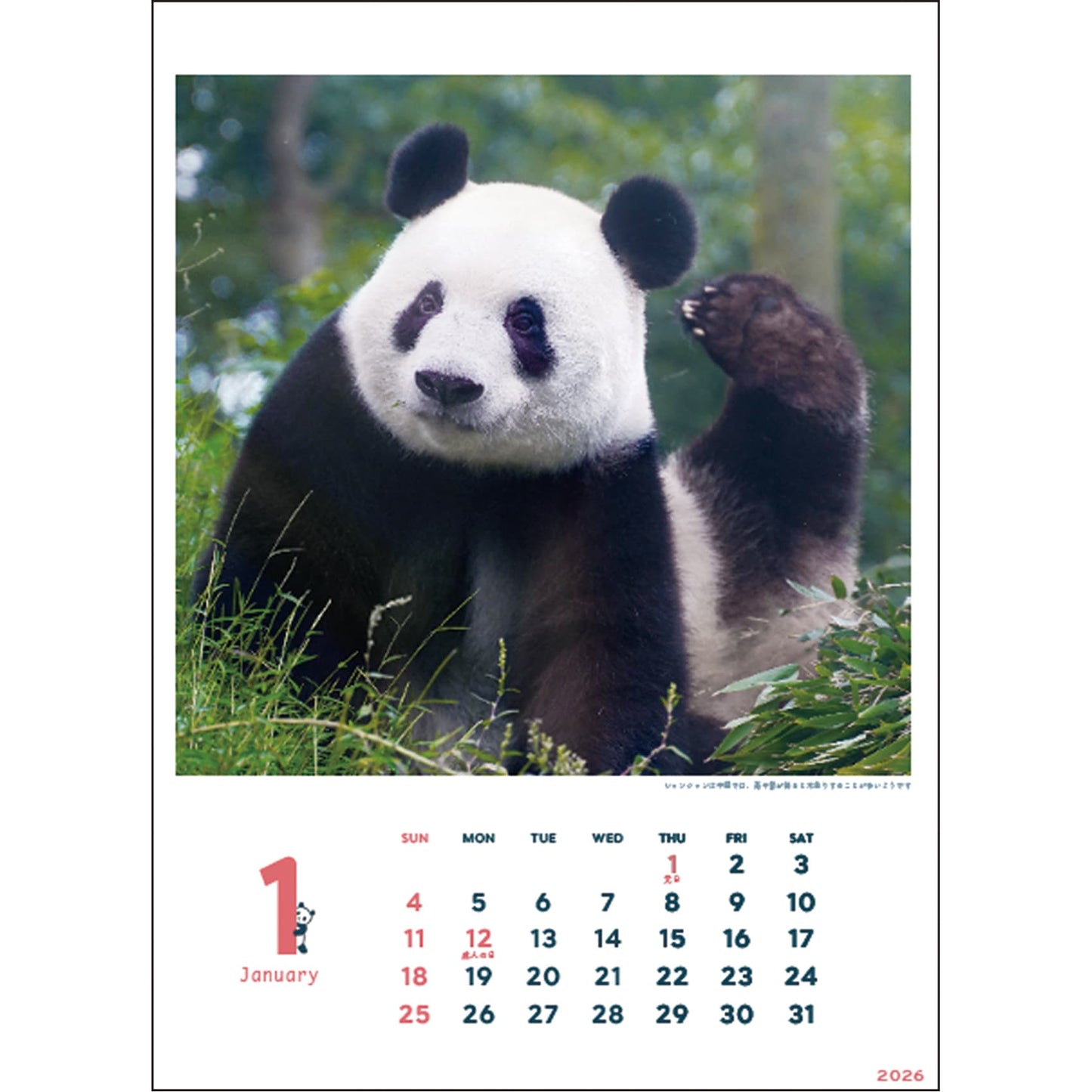 2026 Wall Calendar, Xiang Xiang