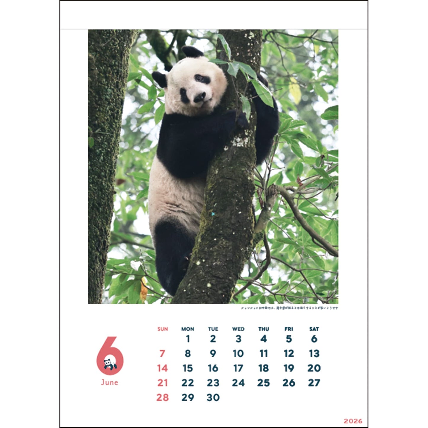 2026 Wall Calendar, Xiang Xiang