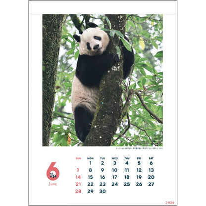 2026 Wall Calendar, Xiang Xiang