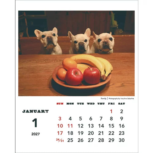 2027 Desk Calendar - Natsuhiko Family/Yasuhiro Sakashita