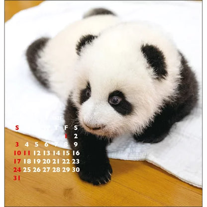 2027 FD Calendar - Panda