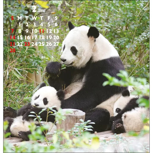 2027 FD Calendar - Panda