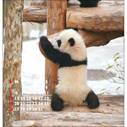 2027 FD Calendar - Panda