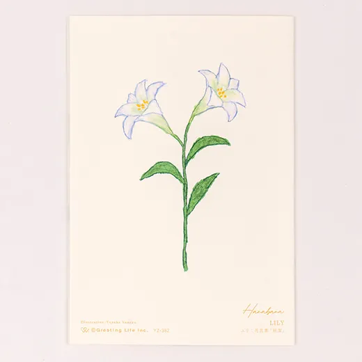 Anniversary Birthday Card and Anniversary Card