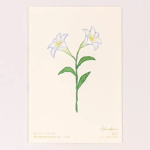 Anniversary Birthday Card and Anniversary Card