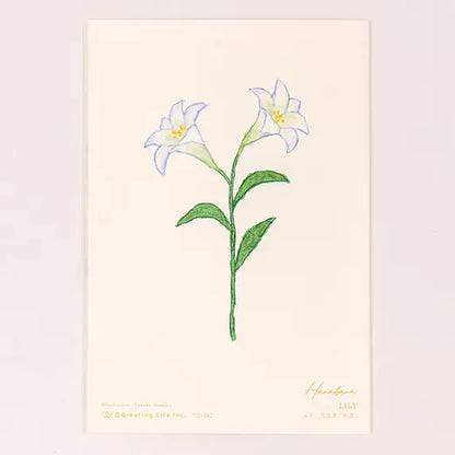 Anniversary Birthday Card and Anniversary Card