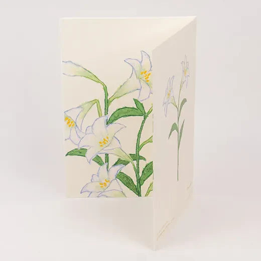 Anniversary Birthday Card and Anniversary Card