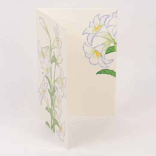 Anniversary Birthday Card and Anniversary Card