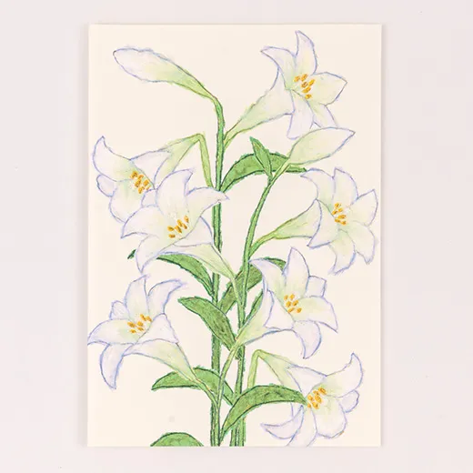 Anniversary Birthday Card and Anniversary Card