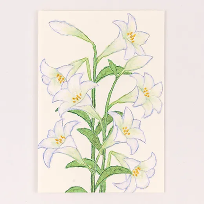 Anniversary Birthday Card and Anniversary Card