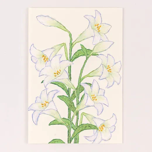 Anniversary Birthday Card and Anniversary Card