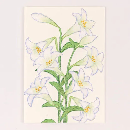 Anniversary Birthday Card and Anniversary Card